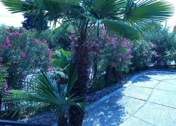 瓦伦蒂娜公寓 *