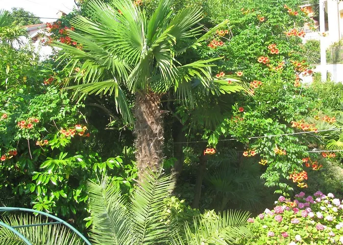 瓦伦蒂娜公寓 公寓 奥帕提亚