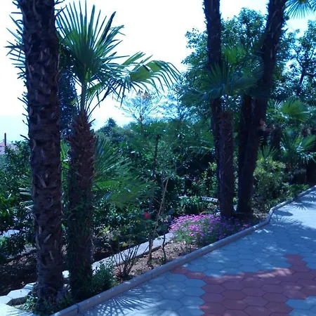 Valentina אופטיה